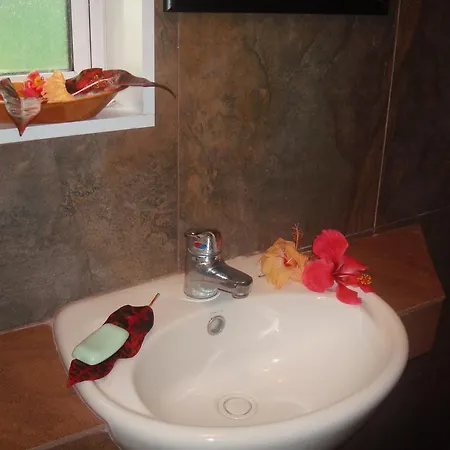 Gecko Lodge Fiji Savusavu Room photo