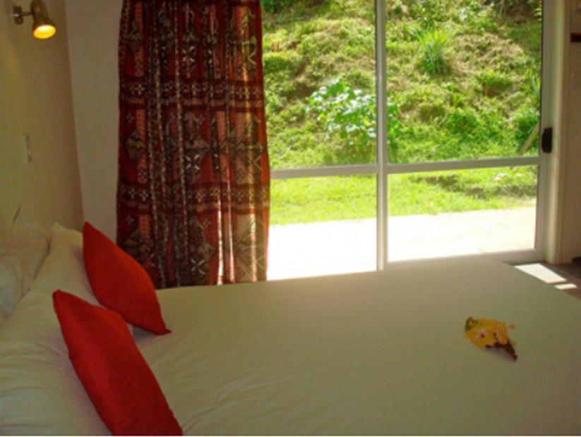 Lodge Gecko Fiji *